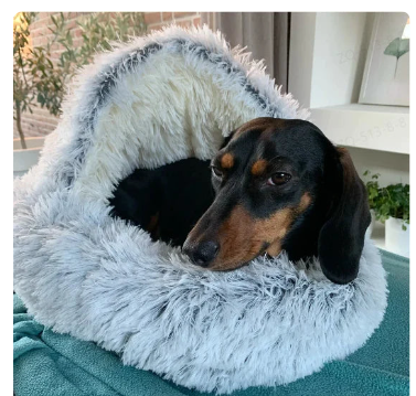 2-in1 Pet Bed - HEARTLESS Habits