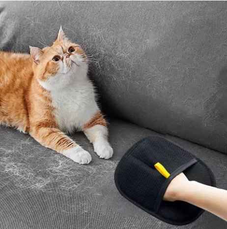 Fur Remover Glove HEARTLESS Habits