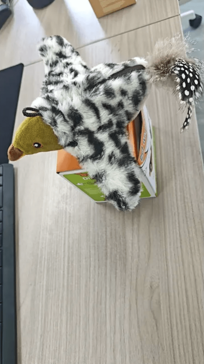 Plush Bird Pet Toy HEARTLESS Habits