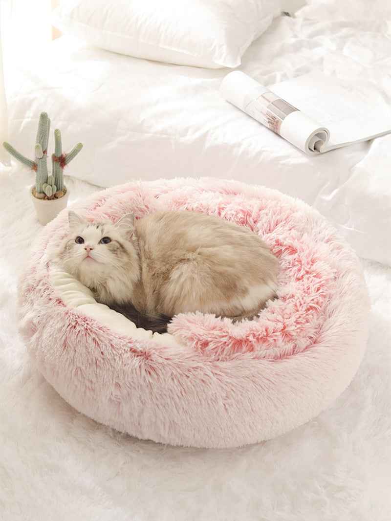 2-in1 Pet Bed - HEARTLESS Habits