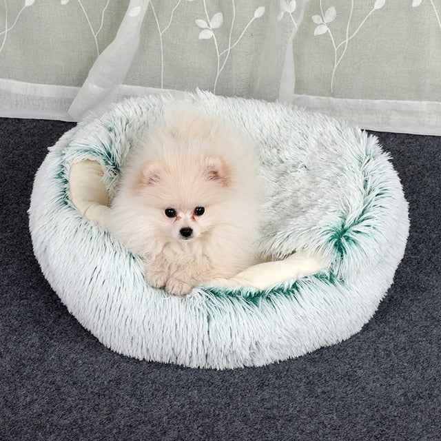 2-in1 Pet Bed HEARTLESS Habits